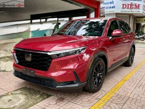 Xe Honda CRV L 2024